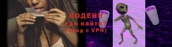 дурь Краснослободск