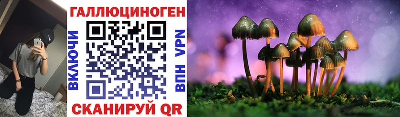 Галлюциногенные грибы GOLDEN TEACHER  Купить закладки  Вологда 